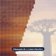 Baobab solitaire au coucher du soleil – gros plan des diamants