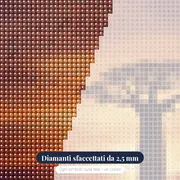 Baobab al Tramonto con Stormo – primo piano dei diamanti