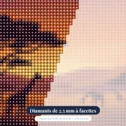Coucher de soleil sur la savane aux acacias – gros plan des diamants