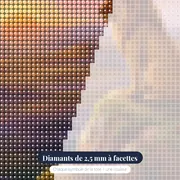 Lion sur un rocher au soleil levant – gros plan des diamants