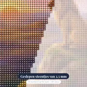 Leeuw op rots bij zonsopgang – close-up van de steentjes