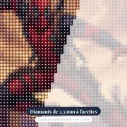 Héros mercenaire masqué aux katanas – gros plan des diamants