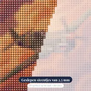 Propellervliegtuig in dreigende wolken – close-up van de steentjes