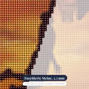 Slam Dunk Silhouette vor orangenem Himmel – Nahaufnahme der Steine