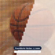 Basketball auf glänzendem Parkettboden – Nahaufnahme der Steine