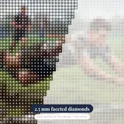 Diving Try in the Mud – diamond close-up