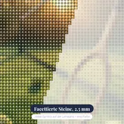 Tennisschläger und Bälle im Morgengrauen – Nahaufnahme der Steine