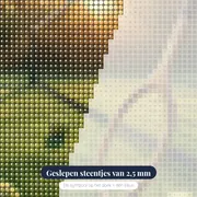 Tennisracket op grasbaan bij zonsopgang – close-up van de steentjes