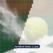 Tennisball trifft die Kreidelinie – Nahaufnahme der Steine