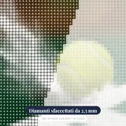 Impatto sulla linea di fondo – primo piano dei diamanti