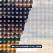 Campo Centrale Gremito, Tennista in Volo – primo piano dei diamanti