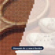 Raquette et Baskets sur Terre Battue – gros plan des diamants