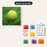 Tennis Ball Mid-Bounce on Grass – kit contents