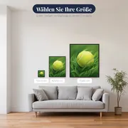 Aufspringender Tennisball auf grünem Rasen – verfügbare Größen