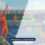 Double Ensoleillé aux Tenues Colorées – gros plan des diamants