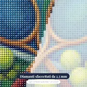 Racchette incrociate sulla rete – primo piano dei diamanti
