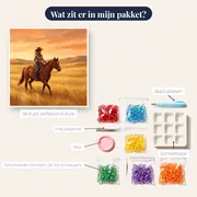 Cowgirl te paard in gouden prairie – inhoud van het pakket