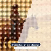 Cavalière au galop dans la prairie dorée – gros plan des diamants