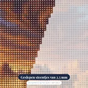Postkoets in de woestijn onder dramatische lucht – close-up van de steentjes