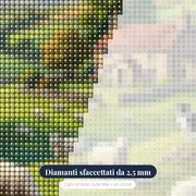 Pecore al pascolo con casale e cane – primo piano dei diamanti