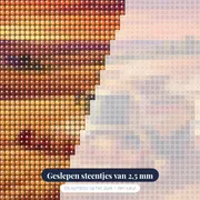 Oogst op het veld bij zonsondergang – close-up van de steentjes