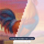 Kraaiende haan op hek bij zonsopgang – close-up van de steentjes