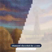 Trattore tra Covoni e Mulino – primo piano dei diamanti