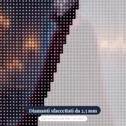 Il Conte Vampiro dal Mantello di Velluto – primo piano dei diamanti