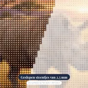 Neushoorn in gouden savannezonsopgang – close-up van de steentjes