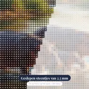 Nijlpaardenfamilie in de rivier – close-up van de steentjes