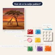 Giraffe en kalf onder acacia bij zonsondergang – inhoud van het pakket