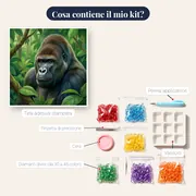 Gorilla nella foresta pluviale – contenuto del kit