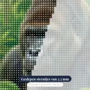Gorilla in groen regenwoud – close-up van de steentjes