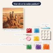 Stokstaartjes op wacht in de woestijn – inhoud van het pakket