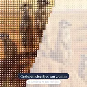 Stokstaartjes op wacht in de woestijn – close-up van de steentjes