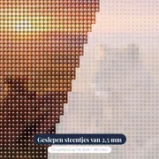 Leeuwin met welpen in hoog gras – close-up van de steentjes
