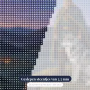 Vikinghoofdman op heuveltop met wolf – close-up van de steentjes