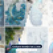 Diamantschilderij pauwen : Het Hemelse Duo – close-up van de steentjes