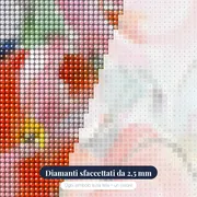 Fiori di papavero A – primo piano dei diamanti