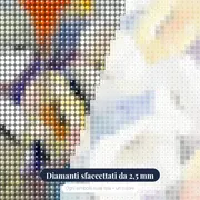 Fiori di papavero B – primo piano dei diamanti