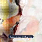 Fiori di papavero C – primo piano dei diamanti