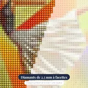 Danseuse Ballerine Style Picasso – gros plan des diamants
