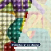 Femme Sur La Terrasse Style Picasso – gros plan des diamants