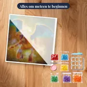 Diamond Painting Pokémon Charizard – pakket klaar om te beginnen