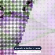 Schmetterling: Amethyst-Glanz – Nahaufnahme der Steine