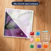 Schmetterling: Amethyst-Glanz – Set bereit zum Loslegen