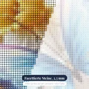 Schmetterling: Leuchtender Glanz – Nahaufnahme der Steine