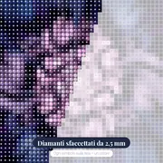 Schiusa notturna – primo piano dei diamanti