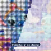 Le Tapis Volant – gros plan des diamants