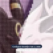 Diamond Painting Pokémon Het Yin Yang Duo – close-up van de steentjes